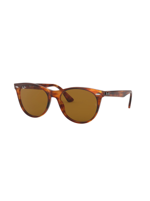 Ray-ban Rb2185 954/33 Unisex Round Lifestyle Sunglasses Tortoise