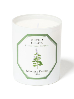 Spearmint Candle