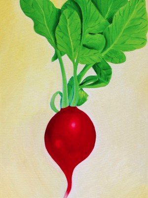 Radish