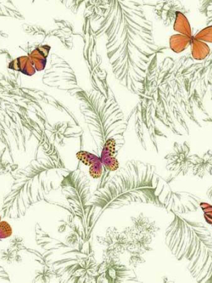 Papillon Wallpaper In Orange, Green, And White By Ashford House For York Wallcoverings