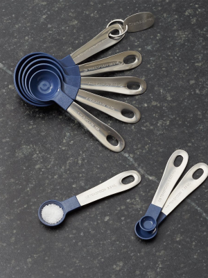 Stainless Steel And Blue Measuring Spoons, Set Of 8