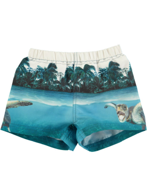 Molo Sea Turtle Boardies