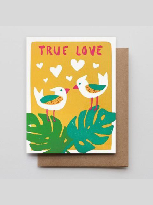 Tropical Bird Love