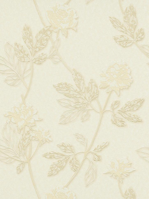 Ethan Floral Wallpaper In Cream Design By Bd Wall