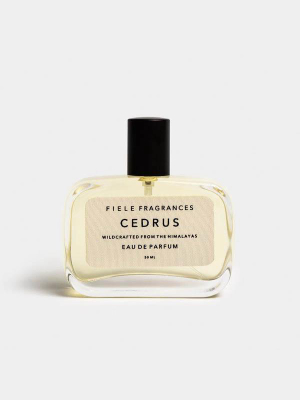 Cedrus Eau De Parfum