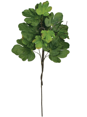 Sullivans Artificial Fig Leaf Spray 42"h Green