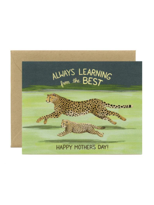 Yeppie Card, Cheetah Mother's Day