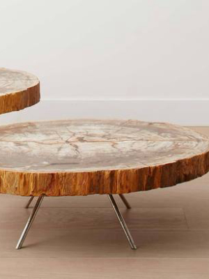 The Petrified Wood Nesting Coffee Tables