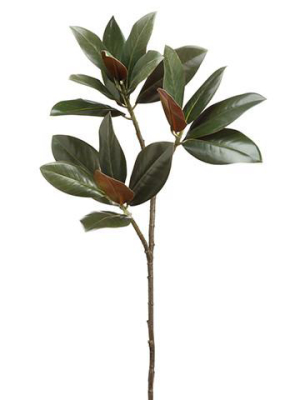 Artificial Magnolia Leaf - 34.5"