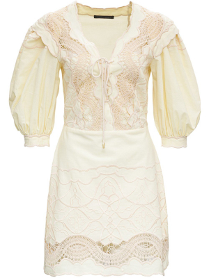 Alberta Ferretti Embroidered Mini Dress