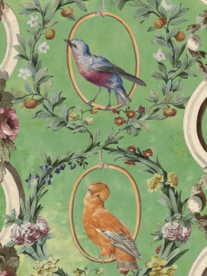 Countesse's Aviarium Wallpaper In Mint From The Wallpaper Compendium Collection By Mind The Gap