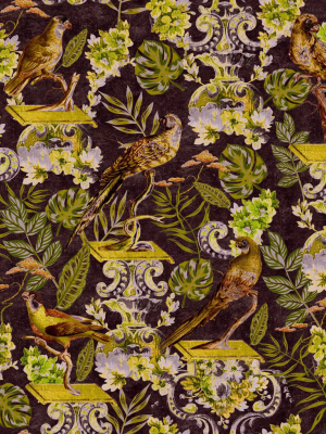 La Voliere Wallpaper In Dark From The Wallpaper Compendium Collection By Mind The Gap