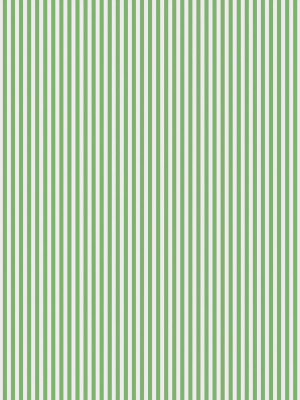 Candy Stripe Wallpaper In Green By Bethany Linz For Milton & King