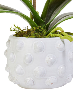 Faux Single White Orchid In Spotted Pot