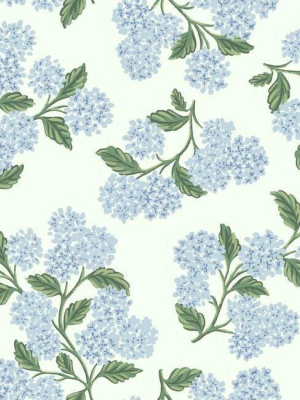 Hydrangea Wallpaper In Blue And White From The Rifle Paper Co. Collection By York Wallcoverings