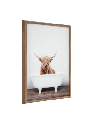 18" X 24" Blake Highland Cow In Tub Framed Printed Glass By Amy Peterson Gold - Kate And Laurel