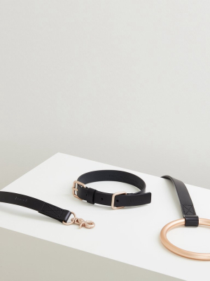 Lumi Leash And Collar Set