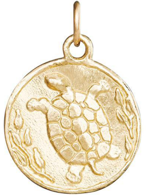 Turtle Coin Charm