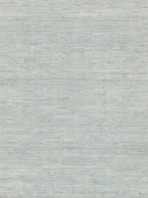 Arrowroot Grasscloth Wallpaper In Sky Blue From The Water's Edge Collection By York Wallcoverings