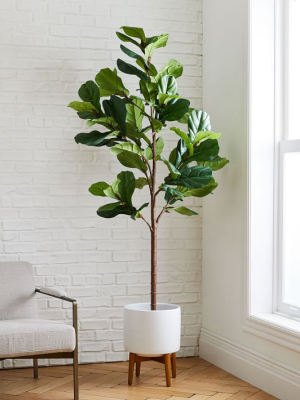 7' Faux Fiddle Leaf Fig Tree & Wide Mid-century Turned Wood Leg Planter Set