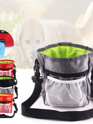 Dog Treat Bag (reflective/multifunction)