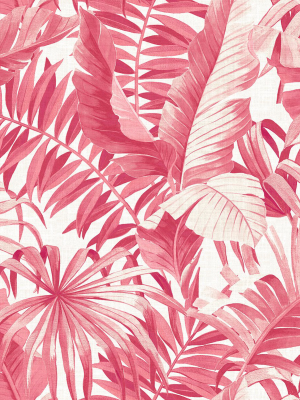 Alfresco Tropical Palm Wallpaper In Pink From The Pacifica Collection By Brewster Home Fashions