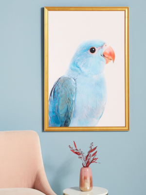 Blue Parrot Wall Art
