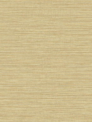 Grasslands Wallpaper In Sandy Shores From The Texture Gallery Collection By Seabrook Wallcoverings