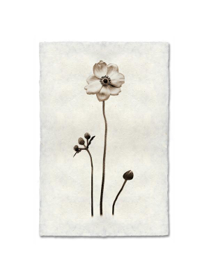 Flower Print "anenome"