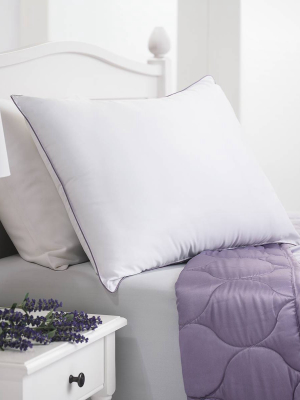 Lavender Infused Microfiber Bed Pillow - Dream Infusion