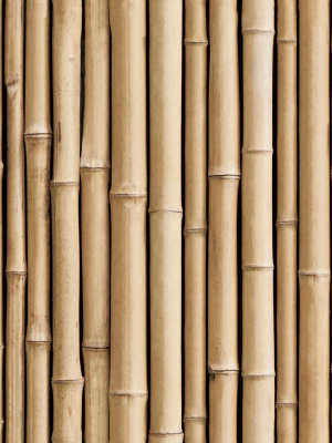 Bamboo Peel & Stick Wallpaper In Brown By Roommates For York Wallcoverings