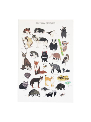 Nocturnal Creatures Print