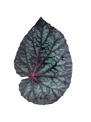 Leaf Platter 55