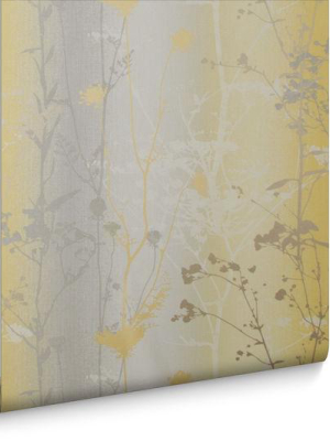 Wild Flower Wallpaper In Summer From The Exclusives Collection By Graham & Brown