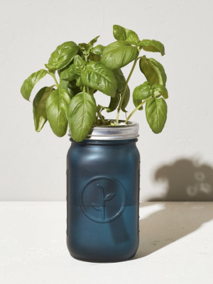 Self-watering Indoor Garden Jar - Basil