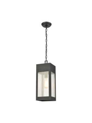 Angus 1-light Outdoor Pendant In Charcoal With Seedy Glass Enclosure