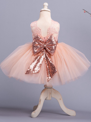 Princess Aisha Dress (rose Gold)