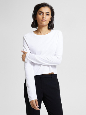 Basic Long Sleeve Tee In Cotton Jersey