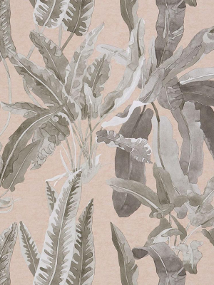 Benmore Wallpaper In Blush And Grey From The Ashdown Collection By Nina Campbell For Osborne & Little