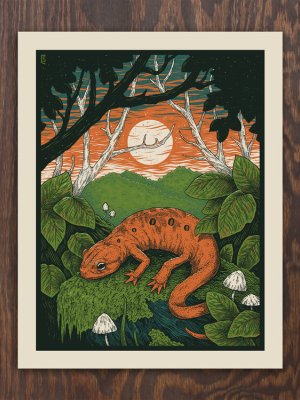 Red Eft Sunset Print