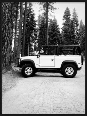 Defender B&w