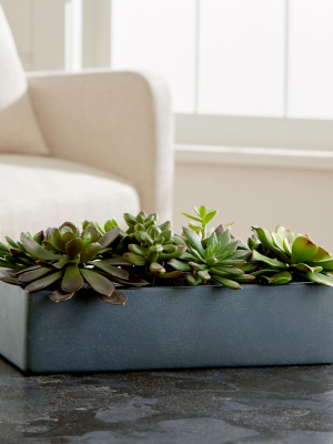 Artificial Succulents In A Pot