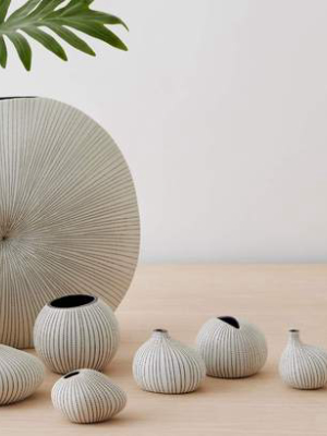 Fossil Ceramic Vase - Dotted Stripe Collection