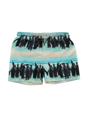 Molo Niko Boardies - Penguin Stripe