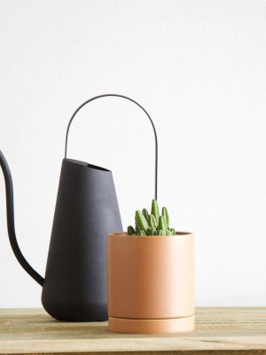 Sienna Practical Pot - Small
