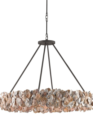 Oyster Circle Chandelier