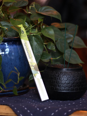 Shoyeido Natural Incense, Sandalwood