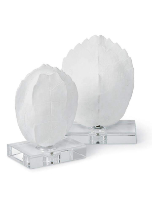 Turtle Shells On Crystal (set Of 2) Small