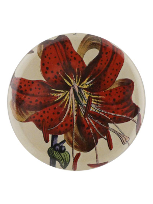 Red Lily