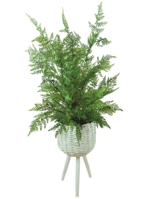 46" X 18" Artificial Fern Leather Leaf Plant In Basket Stand White - Lcg Florals